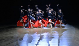 中国舞十级舞蹈视频,逐级绽放的艺术之旅